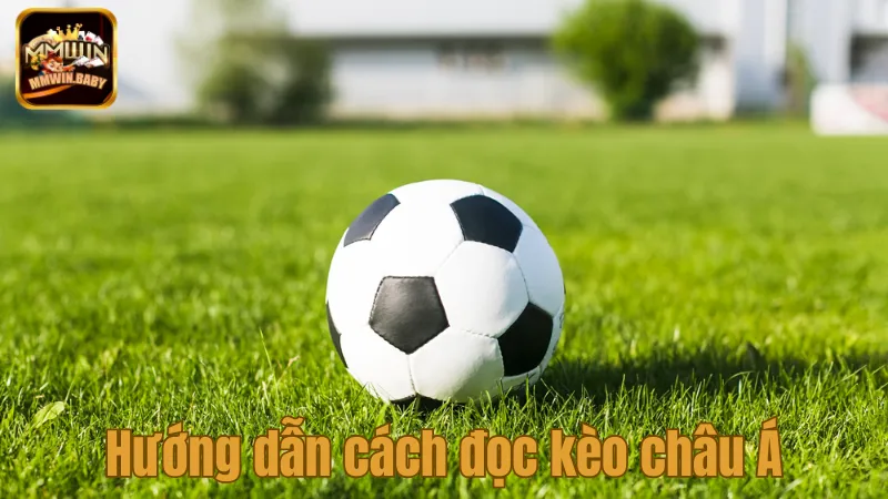 Kèo Châu Á Là Gì? Cách Đọc Và Áp Dụng Hiệu Quả Nhất 2 Hướng dẫn cách đọc kèo châu Á chuẩn nhất